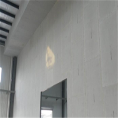 南康新型建筑材料掺多种工业废渣的ALC|ACC|FPS模块板材轻质隔墙板